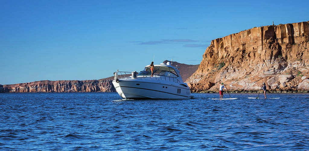 Cabo San Lucas Fishing