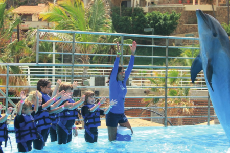 Cabo San Lucas Activities