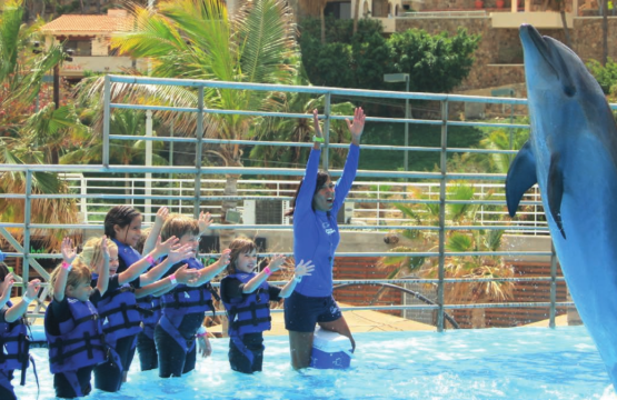 Cabo San Lucas Activities